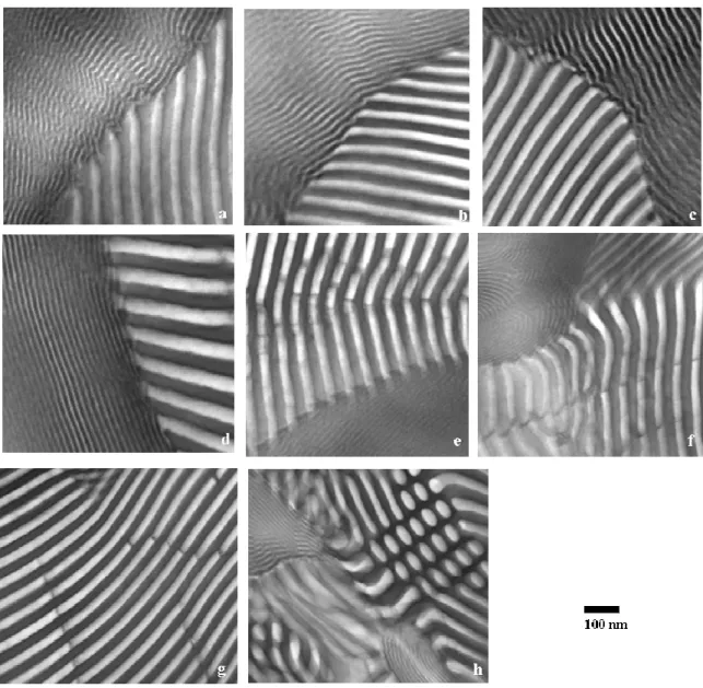 Figure 3.2. Bright field TEM micrographs of thin OsO 4  stained sections of blends of SI450 with SIS,  with  compositions  in  weight  percent  (SI450/SIS):  a)  5/95,  b)  10/90,  c)  25/75,  d)  50/50,  e)  75/25,  f)  90/10, g) 95/5, h) the exceptional 
