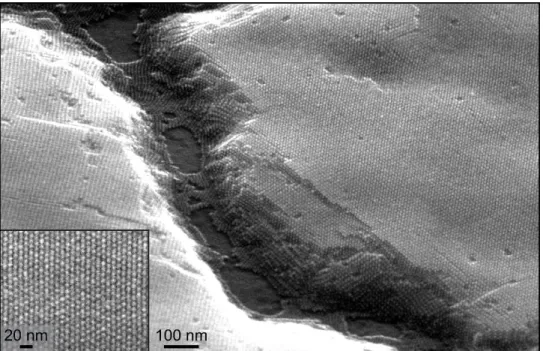 Figure 1.6 SEM image of body-centered cubic PbS nanocrystal superlattice showing long-range ordering