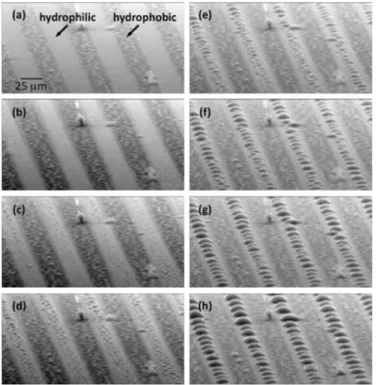 Fig. 4. ESEM images of condensation of water vapor on a  surface with alternating hydrophobic and hydrophilic  segments