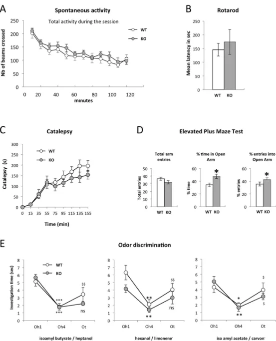 Fig 8. Absence of LAMP5 disrupts olfaction and leads to anxiety-like behavior. (A) Spontaneous activity of naive wild type (open circles) and KO mice (dark circles)