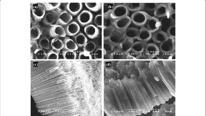 Figure 2 shows the TEM images of a single tube from the polymer-coated TiO 2 nts sample
