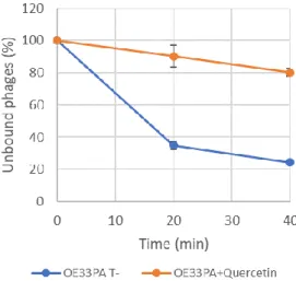 Figure 3. Adsorption assay of phage OE33PA on O. oeni IOEBS277. Cells were grown in MRS in the  absence (blue) or presence of quercetin (50 µ g mL −1 ) (orange)
