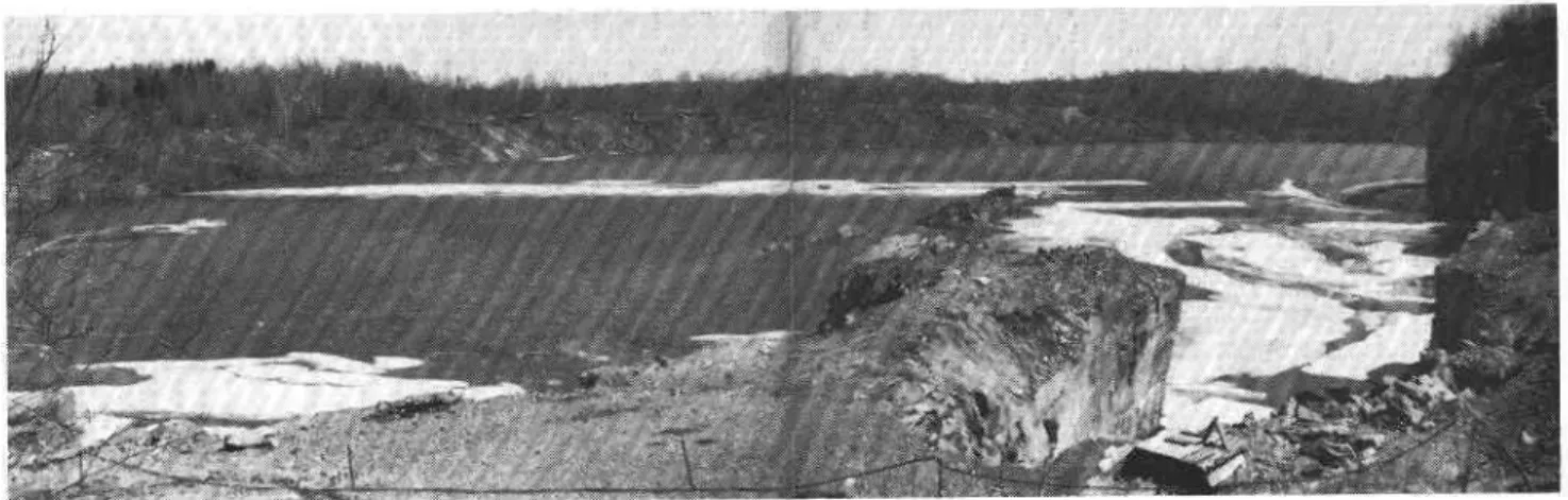 Fig.  2  View  of  crater  left  by  earth  flows  at  Beattie  Mine