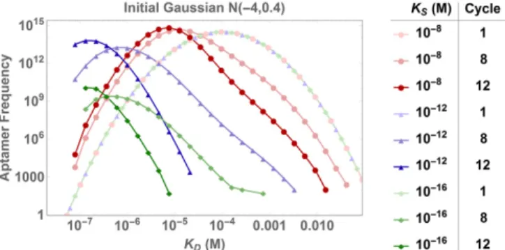 Fig. 6. Impact of K S on SELEX dynamics. The plot shows the evolution of K D