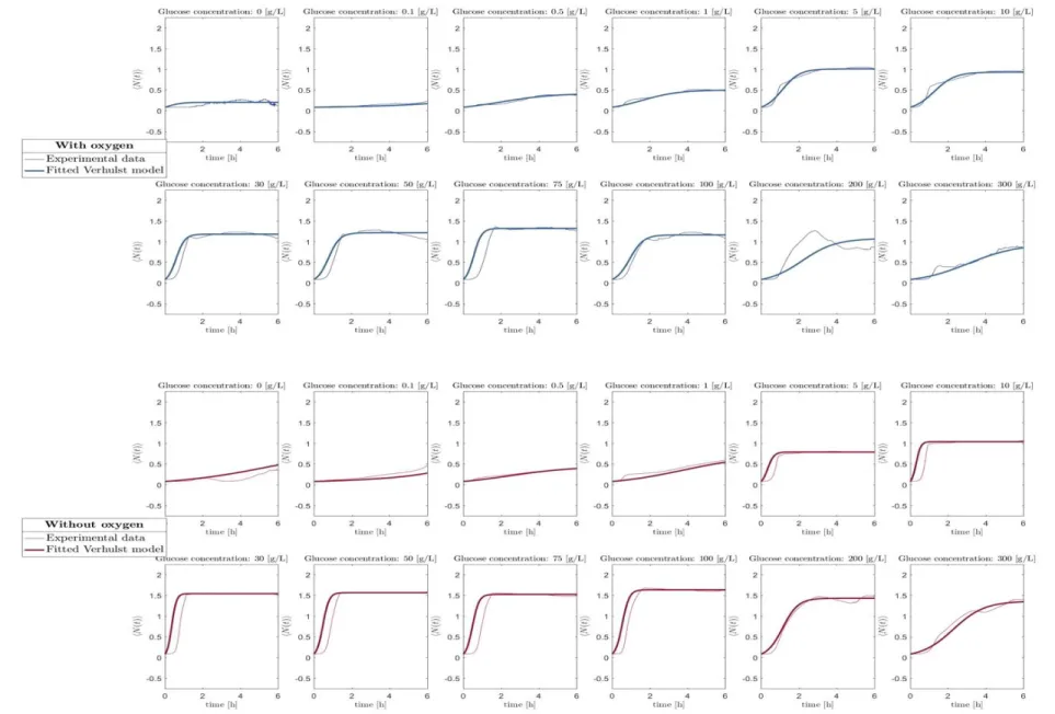 Fig. 4. Auto-regressive Verhulst model of the experimental mean trajectory for all concentrations of glucose in presence (top panel)   10  and in absence of oxygen (bottom panel).