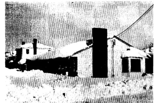 Fig.  25  Halifax,  N.S.  4  February 1960.  Unsheltered 