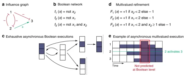 Fig. 2 Example of qualitative models for the interactions between three components. a In ﬂ uence graph denoting the activation and inhibition relationships