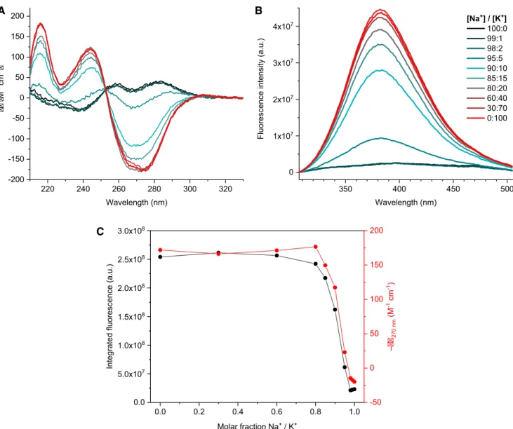 Figure 10. Following the conformational transition of ZG4 from unfolded state to a left-handed G4 by CD and intrinsic fluorescence