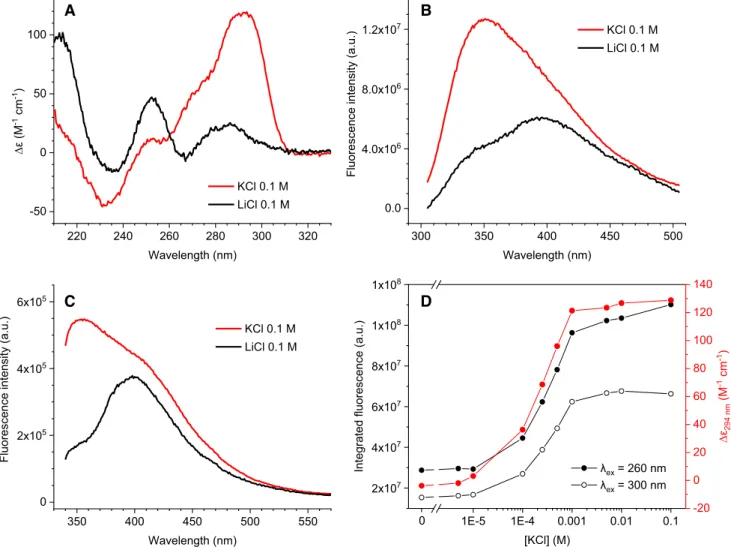 Figure 1. Following the folding of 22AG by CD and intrinsic fluorescence. (A) CD spectra of 22AG (c = 5.7 ␮ M) in K + -rich (buffer A) and K + -free buffers (0.1 M LiCl, 0.01 M lithium cacodylate, pH 7.2)