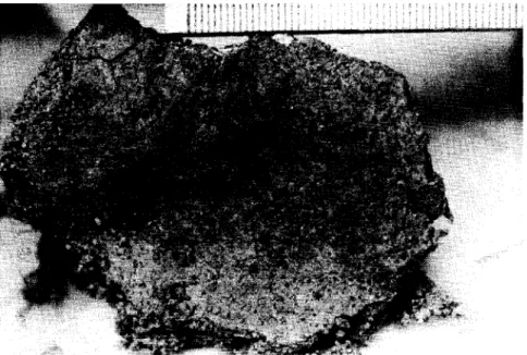 Fig. 3. A close view of the till surface that was against a stone in sandy &#34;comminution till&#34;
