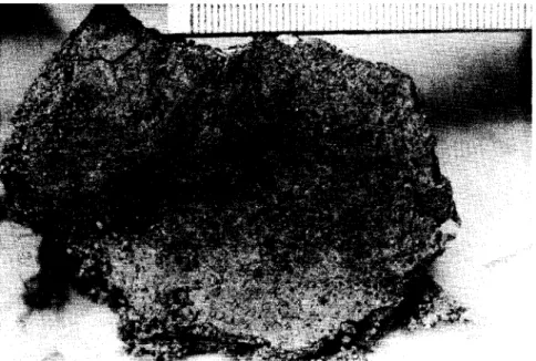 Fig. 3. A close view of the till surface that was against a stone in sandy "comminution till"