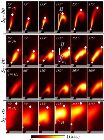 Fig. 3. OH ∗ intensity phase averaged images at a forcing level u 0 /u = 0.30 RMS. + : flame root position