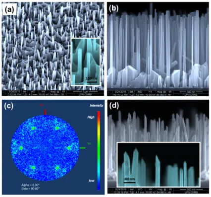 Figure  1:  Tilted  (a)  and  cross-section  (b)  SEM  images  of  Mg-doped  GaN  NWs  grown  by  PA-MBE  on  Si(111)  substrate