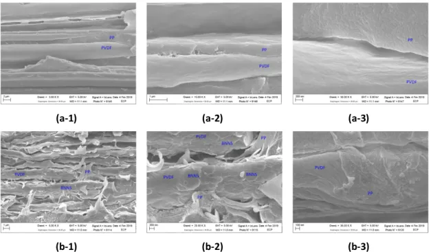 Figure  4  Morphology  of  fracture  surface  for  the  two  samples:  (a)  PP/PVDF  (50-50)  and  (b)  PP/PVDF/BNNS-5% 