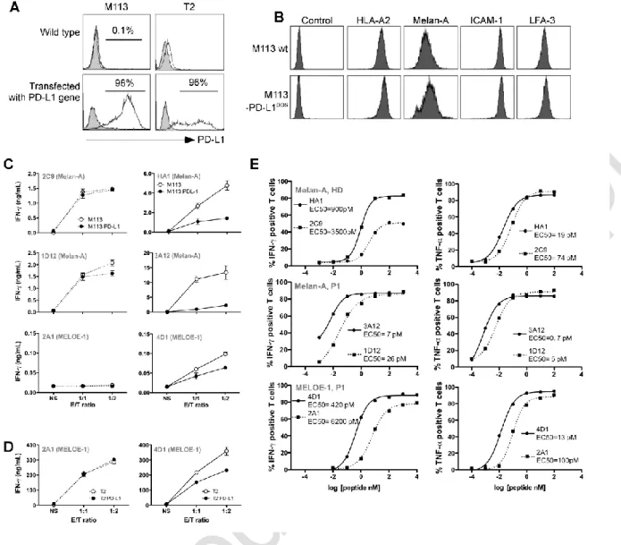 Figure  3:  Reactivity  and  affinity  of  PD-1 pos   and  PD-1 neg   T  cell  clones