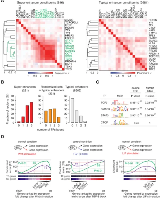 Figure 3. Signaling modules at super-enhancers