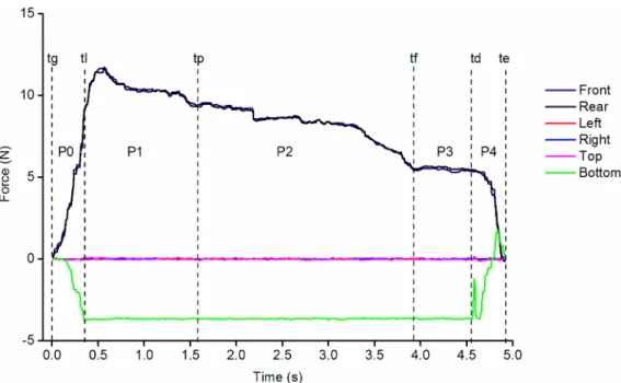 Fig 3. Presentation of the typical times and phases. Example of the forces applied on the faces of the object during Pinch Grip