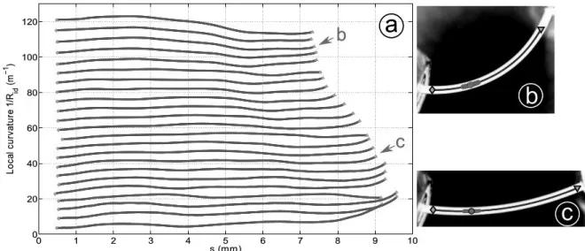 Fig. 7: Copper specimen–local fitting method used to check the local curvature uniformity:: a) Local curvature along the sample for various pictures , b) A typical result, with the identified median points p i (thin blue line) located between the first poi