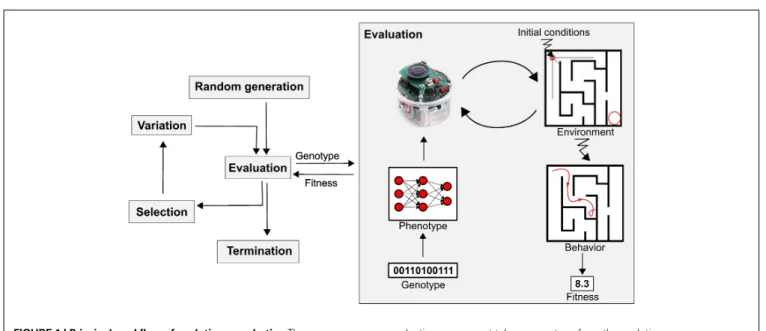 FIGURE 1 | Principal workflow of evolutionary robotics. The diagram presents a classic evolutionary robotics system, which consists of an evolutionary algorithm (left) and a robot, real or simulated (right)