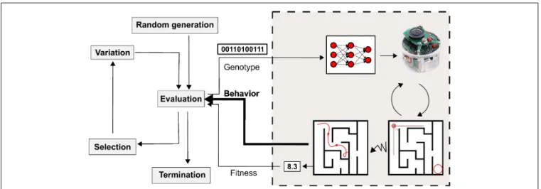 FIGURE 3 | Recent work on selective pressures suggest that taking the behavior into account in the selection process is beneficial