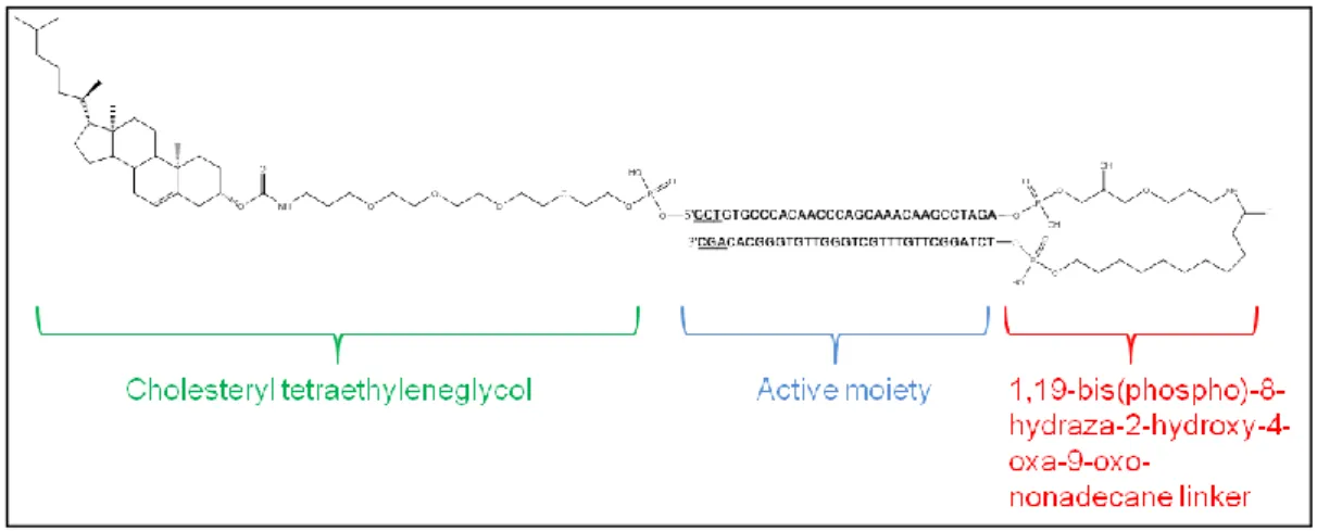 Figure 8. Représentation et formule d’AsiDNA, une molécule de la famille Dbait. AsiDNA est  un nouveau composé chimique, un oligonucléotide d’ADN double-brin de 32 paires de bases