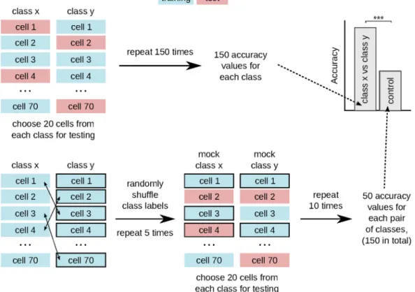 Figure 4.  Schematic of the cross-validation scheme for synthetic data. We compute the classifier accuracy for  each pair of classes using two-class classification with stratified shuffle split cross-validation