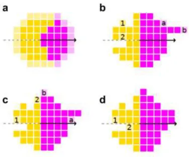 Figure S2: Schematic overview of the parameters of the migration model. (a) Example of a cell  with the 