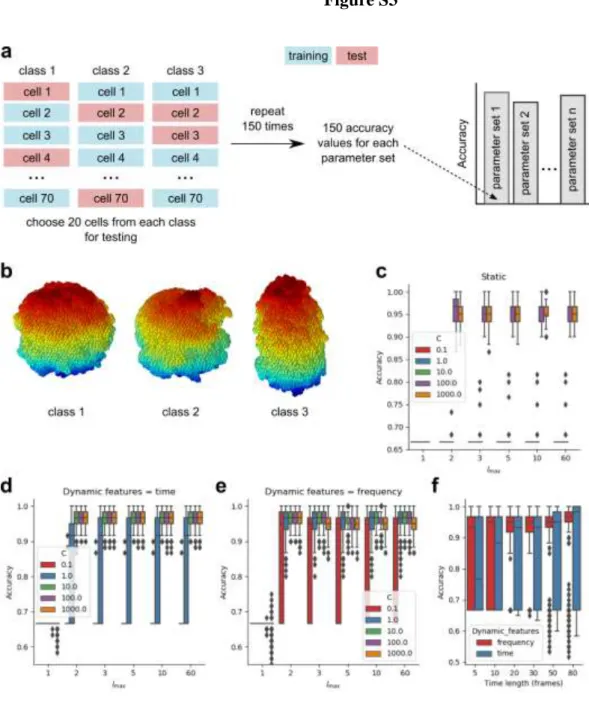 Figure S3: Adjusting classification parameters for synthetic cells. (a) We compute the classifier  accuracy for each set of parameters using three-class classification with stratified shuffle split  cross-validation