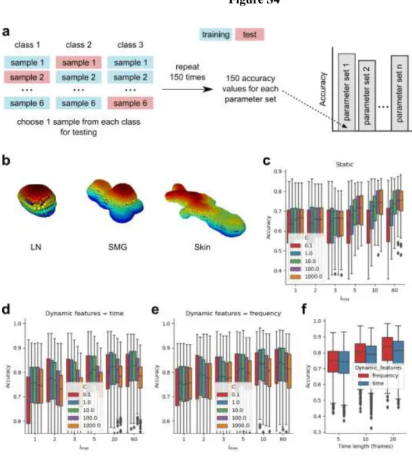 Figure S4: Adjusting classification parameters for T cells. (a) We compute the classifier accuracy  for each set of parameters using three-class classification with stratified group shuffle split  cross-validation