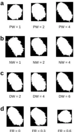 Figure S5: Maximum projections of representative cells generated with three different values of the  position weight (PW) (a), neighbor weight (NW) (b), distance weight (DW) (c), and front-rear (FR)  (d) parameters