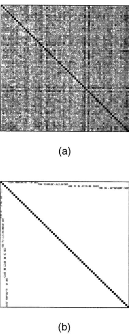 Figure  1-b  shows  the  cross  correlation  matrix  for one  wavelet  packet  signal  set  in  which  68  user   wave-forms exist  in a 64 dimensional  waveform  space