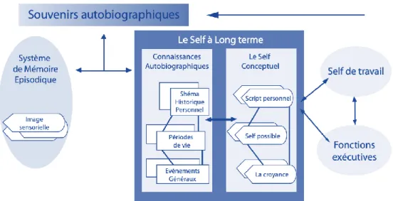 Figure  12:  « Self  memory  system » :  schéma  du  modèle  de  la  mémoire  du  soi  défini  par  Conway  (2005) (d’après Piolino, 2008) 