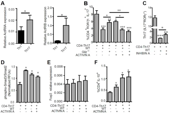 Figure 5. Role of Activin A on Th17 cell function. (A) The expression levels of the Activin A receptors ActRIIA and ActRIB were determined on Th1 and Th17 cells by RT-qPCR