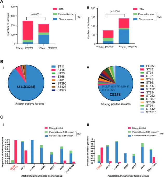 Fig.  1. Presence of type I  R-M systems in the  bla  KPC -positive/-negative groups and CG258  group/other clone groups of K