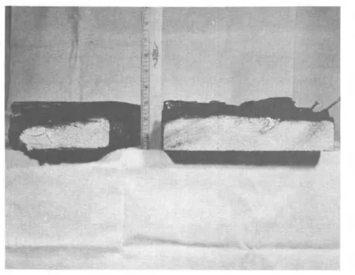 Figure  9  Two  sections  of  the  central post  after  the  fire  test 