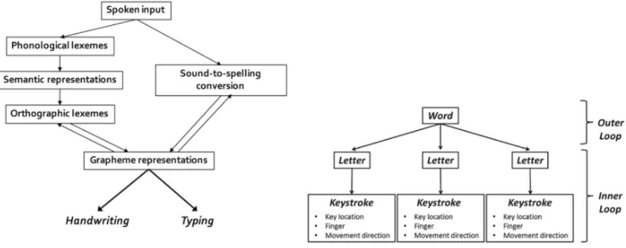 Figure 1: Prototypical models of spelling (adapted from Houghton &amp; Zorzi, 2003; Rapp et al., 2002) and typing (Logan and Crump’s (2011) hierarchical dual-loop model, figure from Yamaguchi &amp; Logan, 2014).