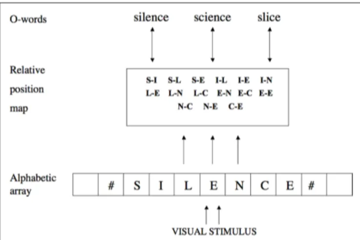 Figure 1 | grainger and van Heuven’s (2003) model of orthographic  processing. Visual features activate location-specific alphabetic character  detectors (the alphabetic array) aligned along the horizontal meridian