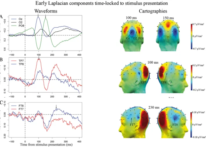 Figure 3. Early Laplacian Components time-locked to the stimulus: Surface Laplacian waveforms and cartographies