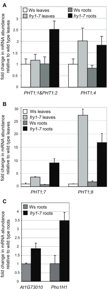Figure 3. Expression of phosphate induced genes in leaves and roots of the fry1-7 mutant