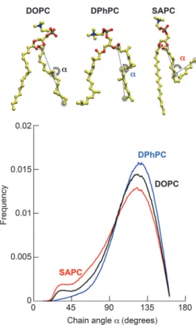 Fig. 6 Acyl chain conformational flexibility. Angular distribution between initial, middle and terminal carbon atoms of the sn2 mono-unsaturated acyl chains of DOPC (black), poly-unsaturated acyl chain of SAPC (red) and saturated branched chains of DPhPC (
