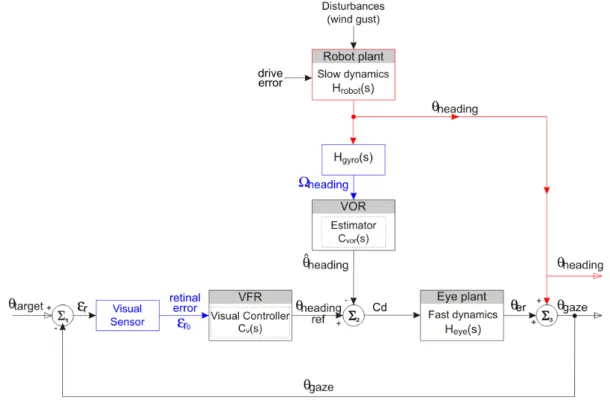 Fig. 6. Block diagram of the Oculomotor Reflexes (ORs). The visual feedback loop at the bottom (which is called the Visual Fixation Reflex (VFR)) is a position servo designed to minimize the retinal error measured ε r = θ target − θ gaze , thus making the 