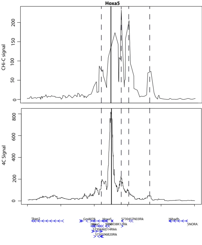 Fig 2 : Example of DNA loops, called with PromoMaxima for the gene Hoxa5, and  validated by 4C in mESCs.