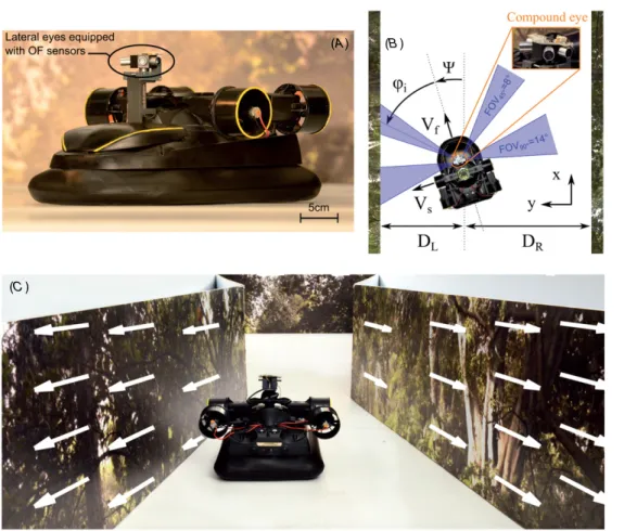 Figure 1. (A) A fully autonomous sighted hovercraft equipped with a miniature 8 pixel compound eye