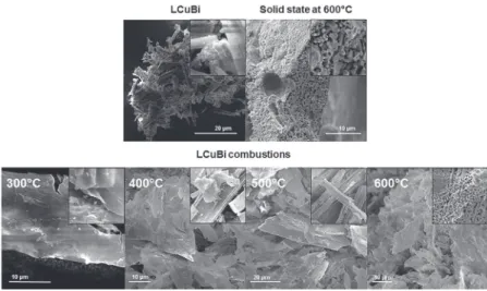 Figure 9. Antimicrobial activity against E. coli of diﬀerent mono- and bimetallic compounds of the ligand H 2 L and the respective controls (nitrate salts and ligand alone) by agar diﬀusion assay
