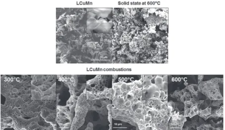 Table 2. Surface Area and Cumulative Pore Volume Measurements at Diﬀerent Temperatures
