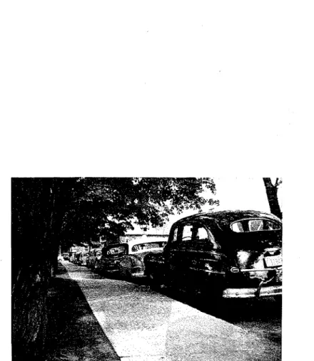 Fig. 1.  Effect  of  trees on sidewalk  along Argyle  Street, Ottawa 