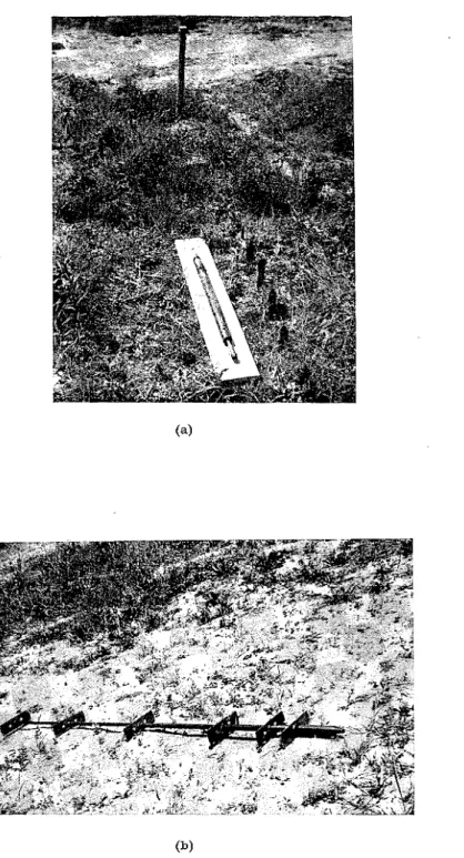 Fig.  3.  Ground-movement  gauges  used  to  measure  the  vertical  movements  near  the  elm trees : 