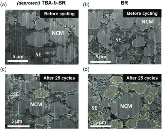 Figure 5.  a−d) Cross-sectional scanning electron microscopy (SEM) images of the composite cathode layers containing (deprotect) poly(tert-butyl acrylate)- acrylate)-b-poly(1,4-butadiene) (TBA-b-BR) (a,c) and butadiene rubber (BR) (b,d) binders