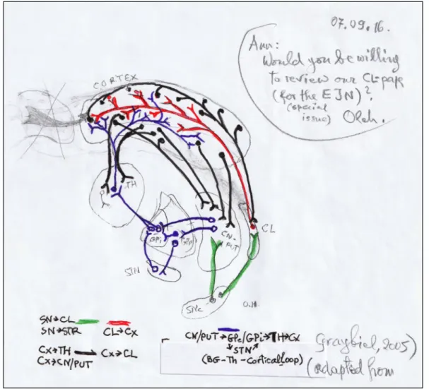 FIG. 3. Sketch of the main outputput pathways of the basal ganglia, as graphically depicted by Dr