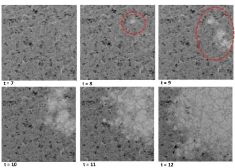 Fig 2 . A sequence of metal corrosion images. The time (index for the image in the sequence) is labeled; the corrosion initiates at time t = 8 (marked by red circle) and develops over time.